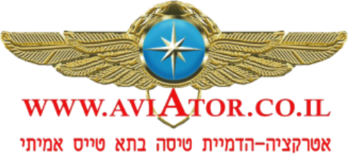 AVIATOR — אטרקציה והדמיית טיסה בתא טייס אמיתי